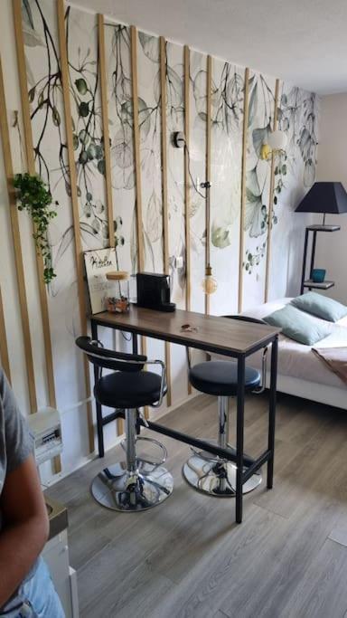 Hsh France Location Disney Land Paris - Suite Nicolas - Appartement De Charme Bussy-Saint-Georges Eksteriør billede